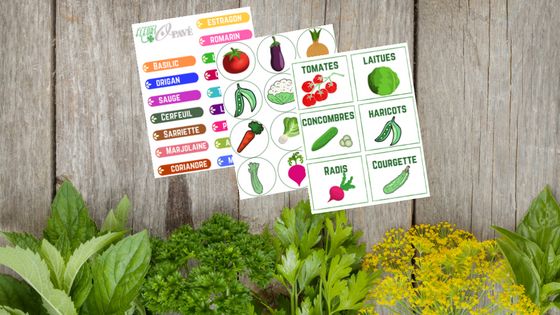 Étiquettes créatives pour les plantes du jardin