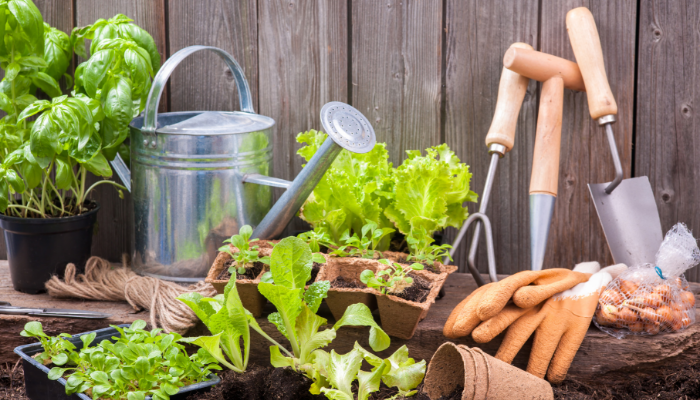 Calendrier de semis de légumes et de fines herbes