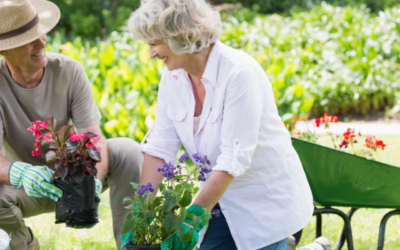 Six conseils pour jardiner malgré l’arthrite