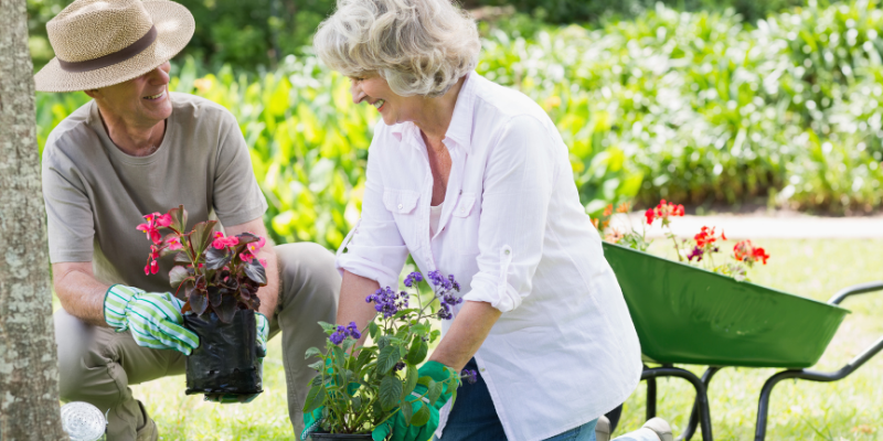 Six conseils pour jardiner malgré l’arthrite