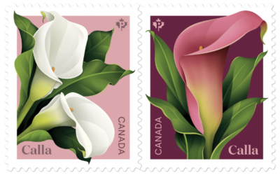 Postes Canada accueille le printemps avec deux timbres sur la calla