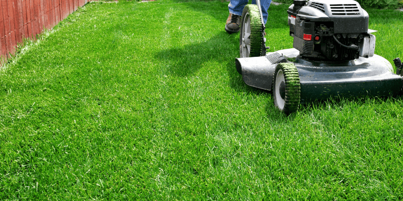 3 choses à faire pour avoir une meilleure pelouse