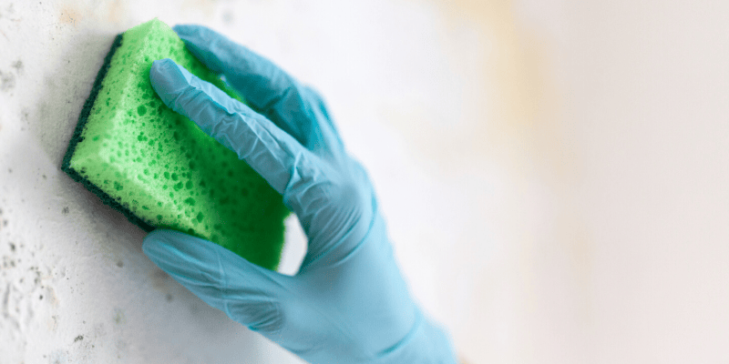 Comment éliminer les moisissures dans la maison