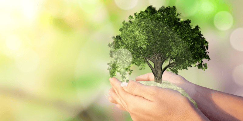 Journée de la biodiversité 2022