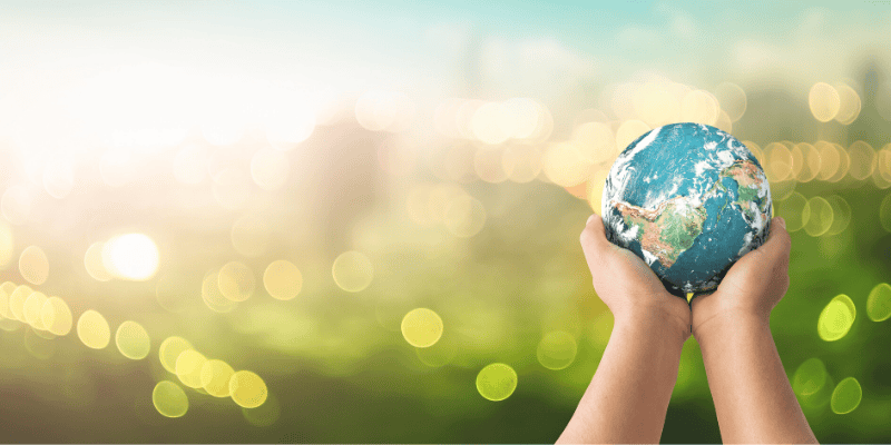 Le développement durable synonyme d'un aménagement paysager durable !