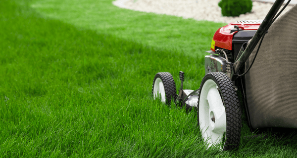 L'entretien de la pelouse