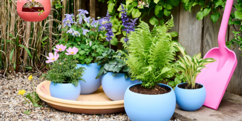 Les plantes de jardin de La Collection Tendance printemps/été 2022