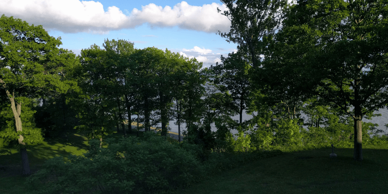 Mois de l’arbre et des forêts – Des célébrations aux quatre coins du Québec!