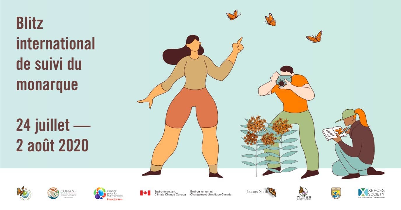 Partez en Mission monarque!