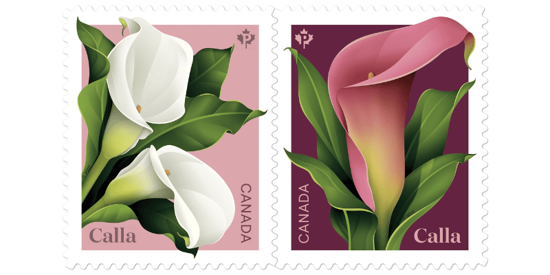 Postes Canada accueille le printemps avec deux timbres sur la calla