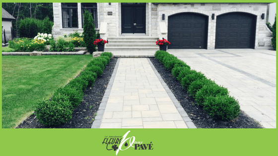 Que faire dans un jardin d'ornement en juin ?