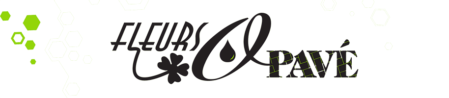 Logo Fleurs O Pavé